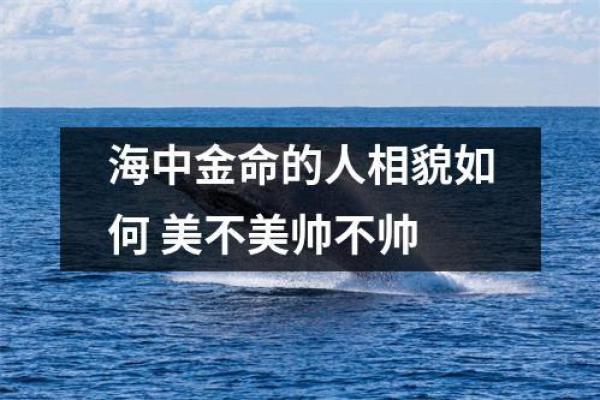 海中金命的意义与人生启示：寻觅内心的富饶之旅