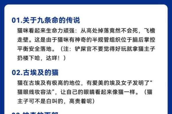 揭开前世神秘面纱：你命格的真相与宿命探寻