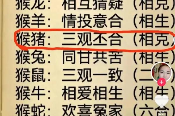 属猴半夜子时出生的命理解析与人生运势探讨