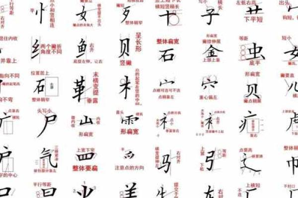 探秘“命”字的偏旁与读音，了解更深层的文化内涵