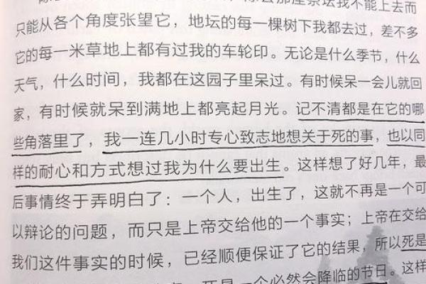 《命运的预言：十三条命的启示与困境》