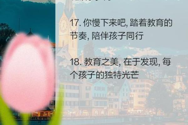 回首过去皆是命，珍惜当下创造未来的智慧之旅