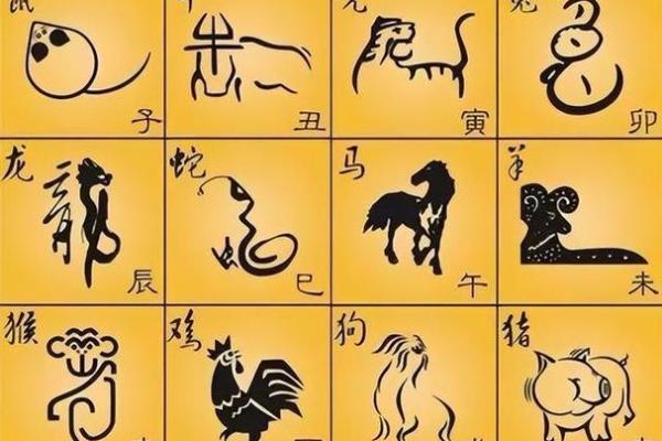 状元命：揭秘与生肖的神秘连接