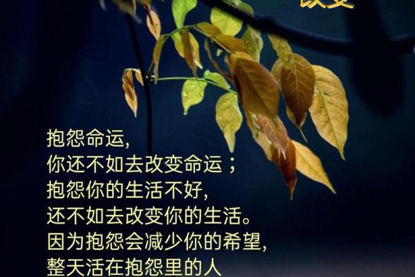 婚后命运解密：揭示你婚后生活的改变与新生机遇