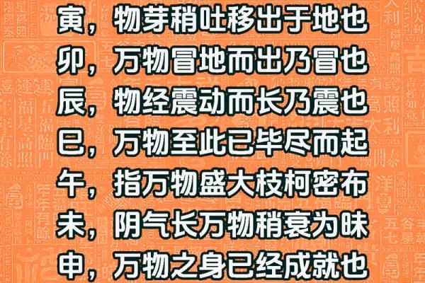 探秘命理：癸亥遇甲寅的奇妙命局与人生启示