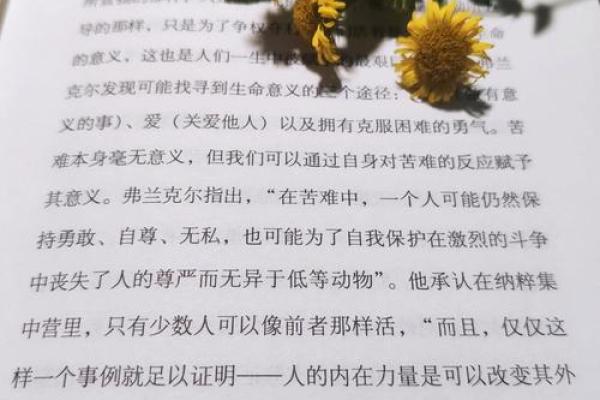 困惑人生：当女人无法生育的命运与人生意义探寻