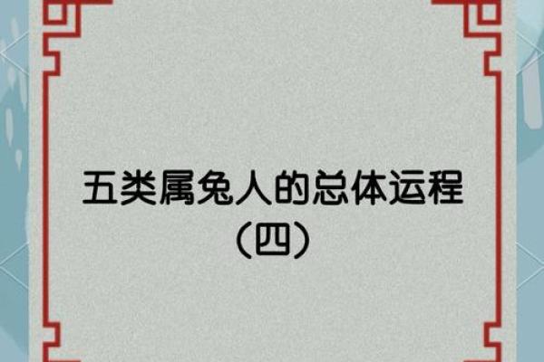 51年兔年命理解读：此生的运势与性格分析！