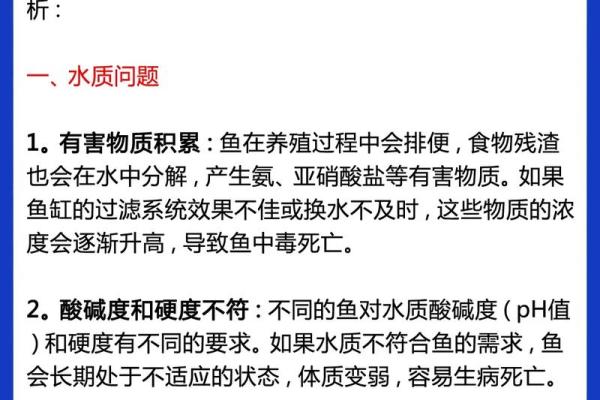 火命人士为何不宜养鱼的深层解析
