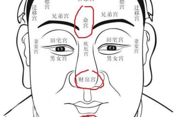 探秘命理学：命好的人脸特征及其玄机