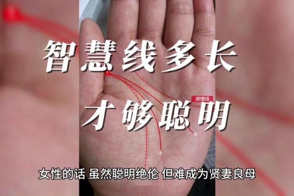 通过命理分析：哪些特征代表聪明与智慧的结合？