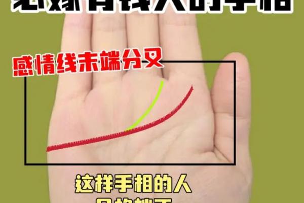 手纹少的人命运解析：你手中的秘密与人生轨迹