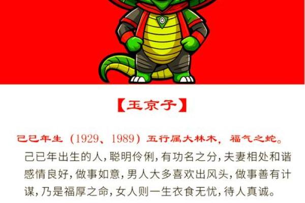 19岁男孩的命理解析：蛇年出生的秘密与人生机遇