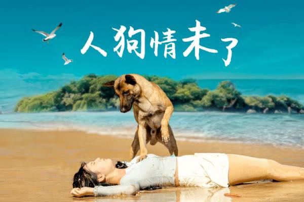 过命交情：人与动物之间那份深厚的友情