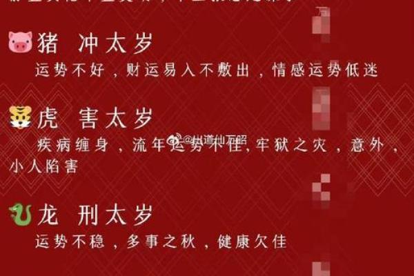 66岁属相命运解析：探秘老年岁月中的生肖智慧
