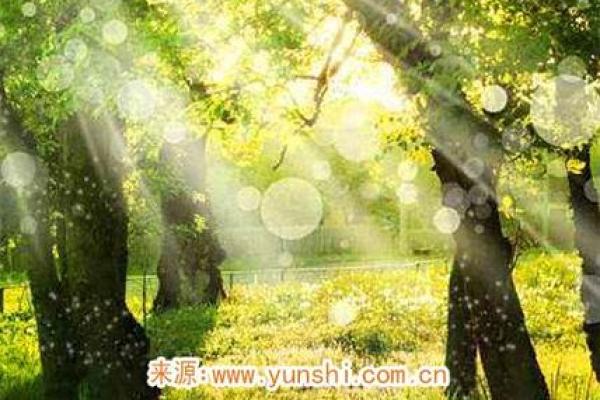 丙子日生人命理解析：天赋与命运的交织之美