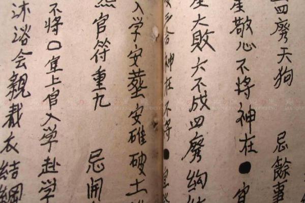 天狗入命：古老传说中的命理智慧与现代生活的启示