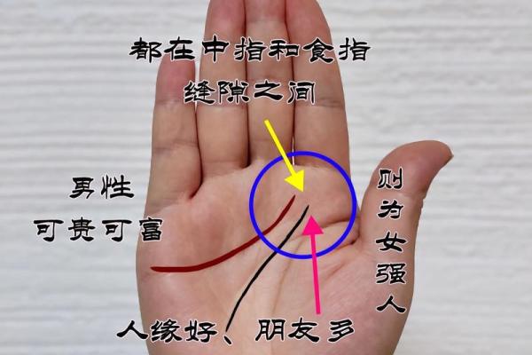 手掌中的秘密：解读几条线代表的命运与人生