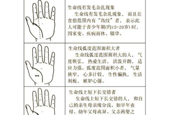 手掌中的秘密：解读几条线代表的命运与人生