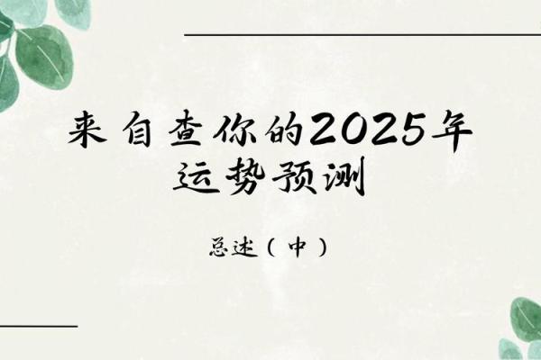 命理揭秘：2003年6月28日出生者的命与运势探讨