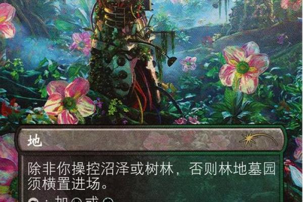 探索三命人格：揭开本命的神秘面纱与自我认知之旅
