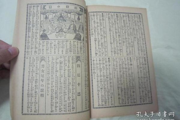 探索乙卯年出生者的命理特点与人生轨迹