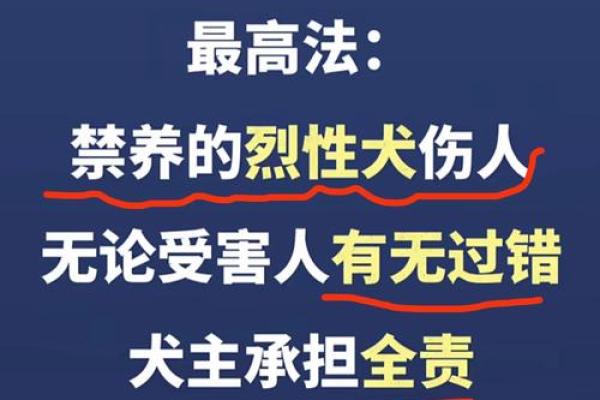 珍爱宠物，掌握命运：那些珍惜狗的人都是什么命？