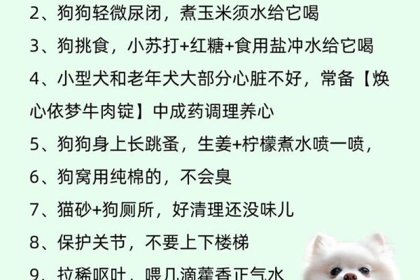 珍爱宠物，掌握命运：那些珍惜狗的人都是什么命？