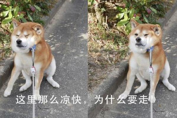 换血续命：何种疾病让我们不得不走上这条路？