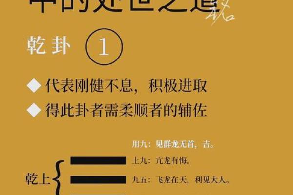 乾命男：命理中的王者，揭秘其独特魅力与命运之道