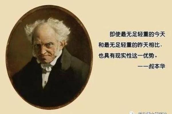 探求白鹤先生的眼中——命运的奥秘与生命的哲学