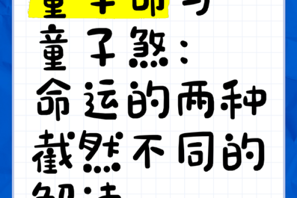 聪明命是什么？探秘智慧与命运的完美交融