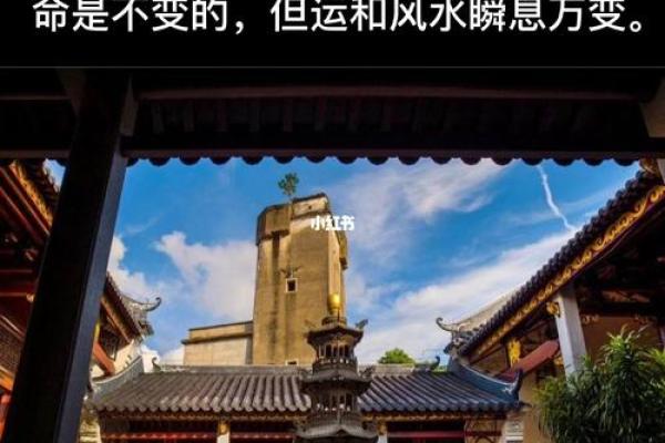 大林木命者的佩戴禁忌不得不知，让你避免不必要的风水问题！