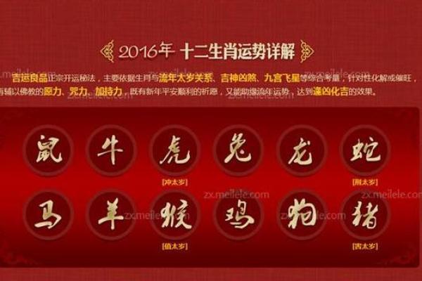 2019年宝贝命与运势：好命从何而来，如何把握未来
