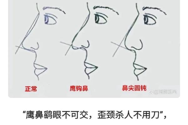看相最准的人是什么命？从面相探寻人生密码！