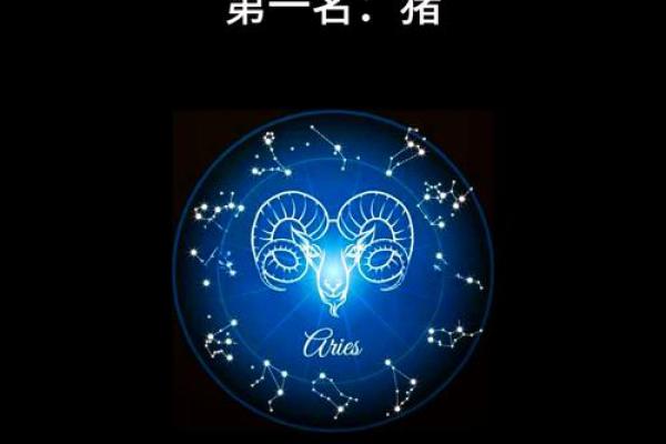 11月属猪的命运：天生性格与未来机遇的细致解析