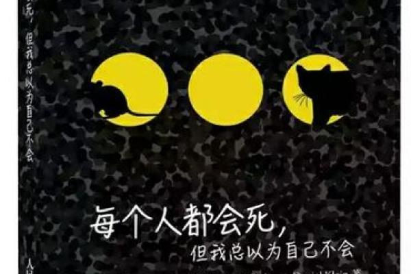 2003年8月的命运与生命的哲学探讨