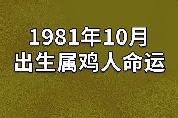 属鸡的人一生的命运解析：机遇与挑战并存的精彩人生