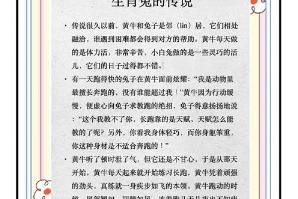 36岁兔年命运解析：解读兔子性格与未来机会