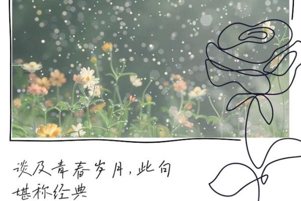 年少轻狂，挥霍青春：为何年少时不可为命？