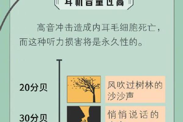 耳朵没有耳轮的命运解析：听见生命的另一种声音