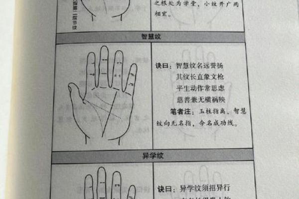手相解析：透过掌纹看人生的命运与个性