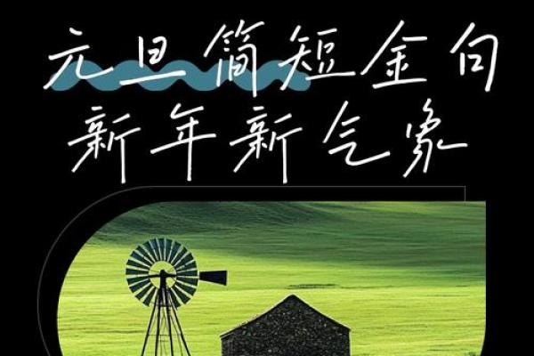 新年新气象：探讨2023年元旦出生孩子的命理特点
