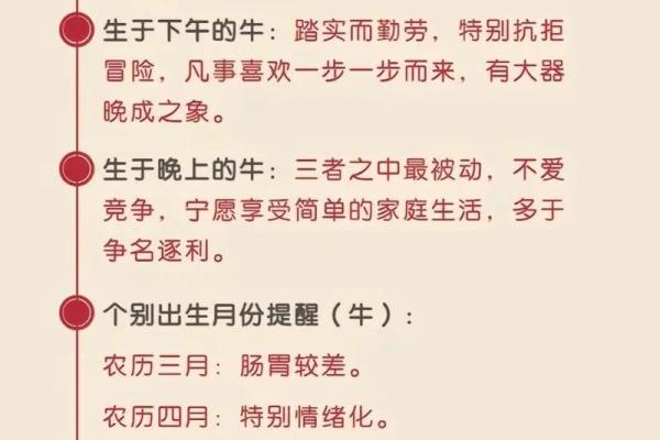 兔年命理：1980年生的兔子命运与性格分析