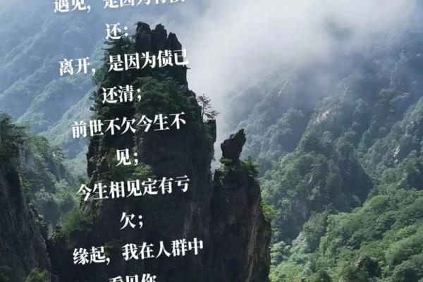 命里有时终须有，命里无时莫强求之深意解析