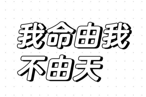 命由天定，努力拼搏——探寻人生的可能性与境遇