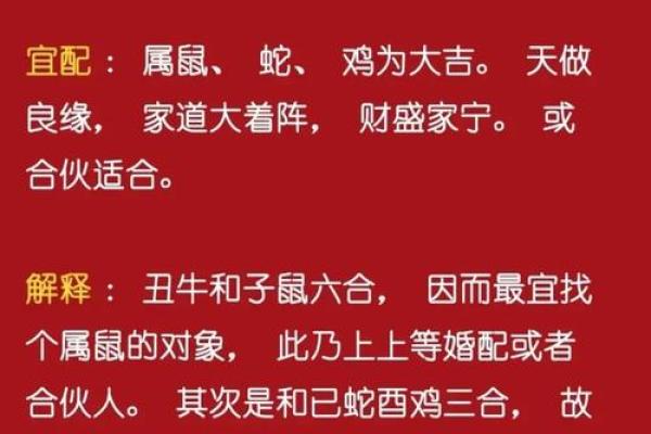 1968年属鸡的人命运与性格特征解析