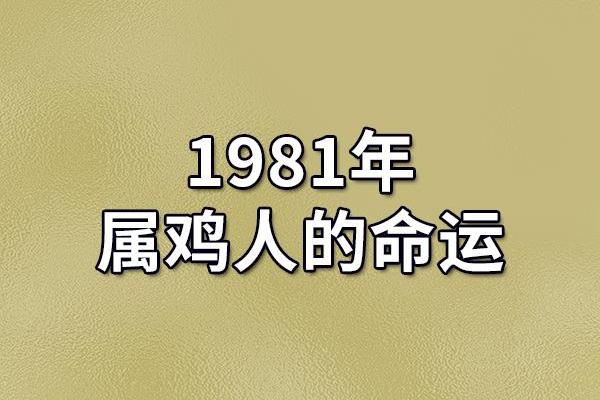 1936年属鸡人的命运与性格解析，精妙之处值得深思
