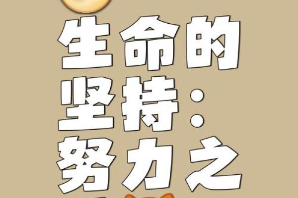 男孩遇到贵人的命运：从平凡到辉煌的转变