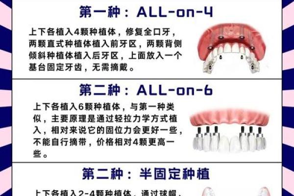 牙齿数量与命运：揭示28颗牙齿背后的秘密人生