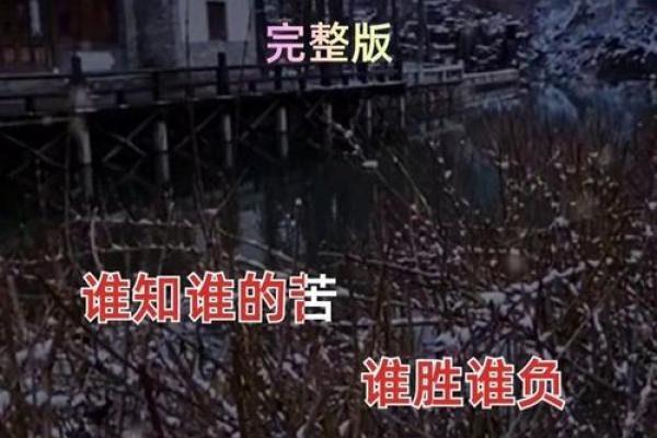 耳根子硬的人，他们的命运与人生走向探讨